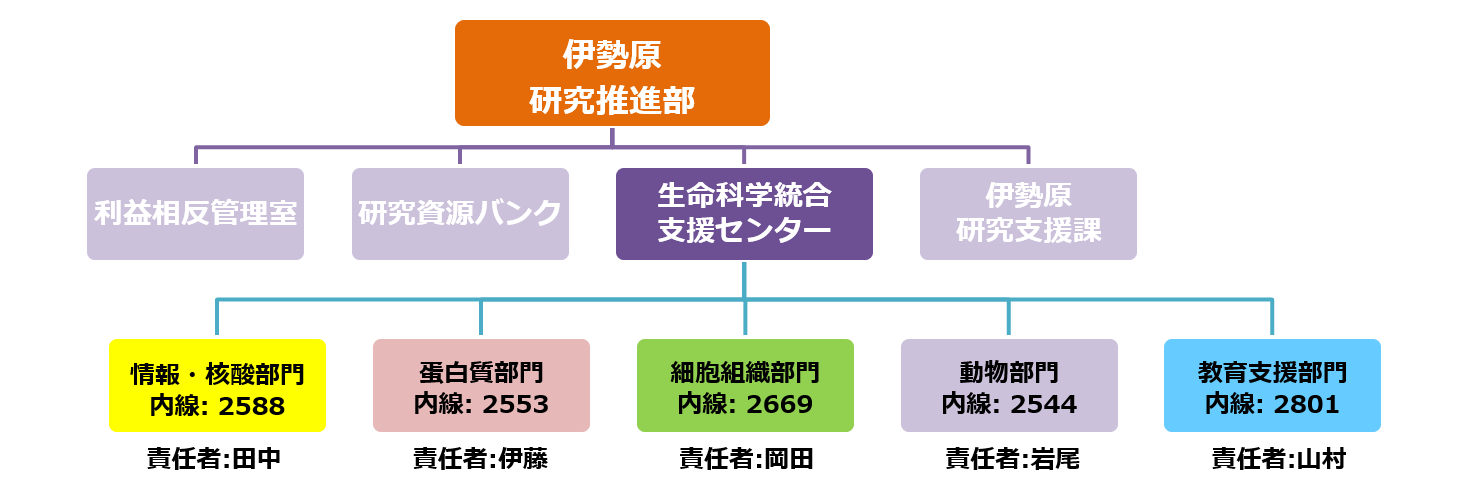 支援センター組織図