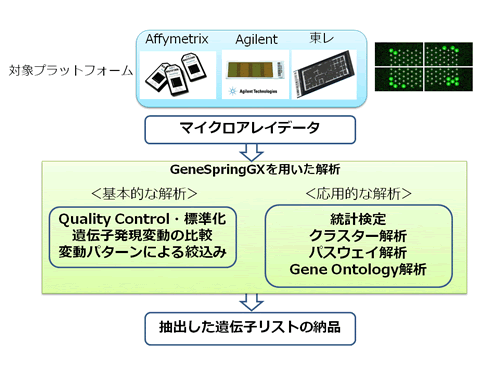 マイクロアレイ分析イメージ